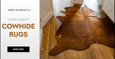 Area Rugs