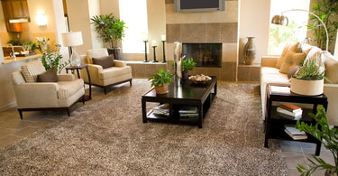 Spacious living room with a large 9x12 area rug anchoring a sofa set, adding warmth and elegance to the space