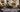 How to Decorate Open Floor Plan With Stunning Rugs
