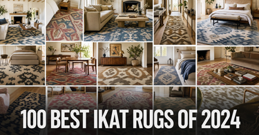 100 Best Ikat Rugs For 2026