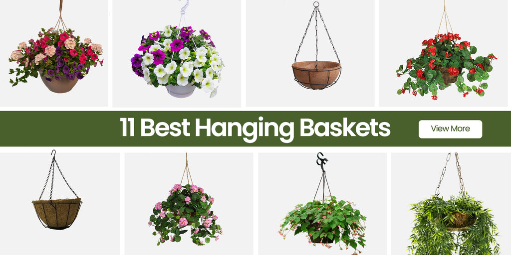 The 11 Best Hanging Baskets For 2023 RugKnots