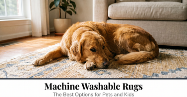 Machine Washable Rugs: The Best Options for Pets and Kids