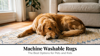Machine Washable Rugs: The Best Options for Pets and Kids