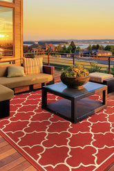 100% Polypropylene Vintage Indoor/Outdoor Area Rug