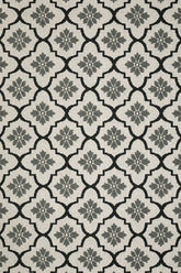 100% Polypropylene Vintage Indoor/Outdoor Area Rug