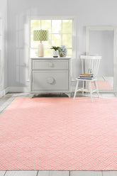 100% PET/Recycled Plastic Runner Indoor/Outdoor Indoor Rug