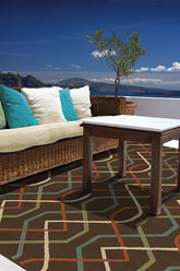 100% Polypropylene Vintage Indoor/Outdoor Area Rug