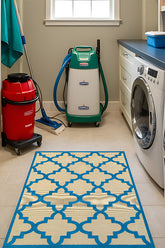 100% Polypropylene Vintage Indoor/Outdoor Area Rug