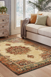 100% Polypropylene Vintage Indoor Area Rug