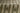 Green Stripe area rug 3'11" X 5 - overhead flat lay view