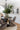 Jute area rug 10' X 14' - styled in a living room
