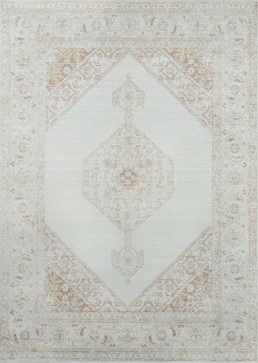 Momeni ISA10 Area Rug, Brown 2' X 3'