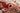 Red Medallion area rug 2' X 3' - styled in a bedroom