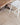 Tan Wool area rug 9' X 12' - corner detail and border