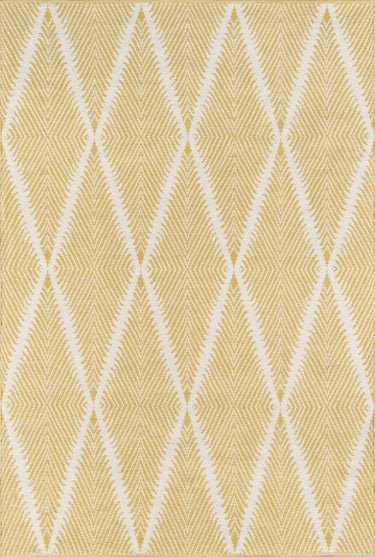 Erin Gates River 100% Pet/recycled Plastic Citron Area Rug, 2' X 3'