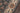 Tudor Grey Area Rug - TUD-4 Hand - Tufted, 2' X 3'