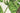Green Stripe area rug 5' X 8' - overhead flat lay view