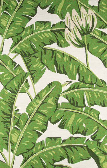 Momeni Veranda 100% Polypropylene Green Area Rug, 3'9" X 5'9"