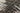 Black Transitional area rug 7'10" X 10 - styled in a bedroom