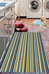 100% Polypropylene Vintage Indoor/Outdoor Area Rug