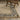 Oriental Weavers Acacia Natural ACA12 Tan and Charcoal Hallway Runner Medallion Runner Rug - 2'6" x 10'