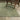 Oriental Weavers Andorra 3709C Green and Gold Small Entryway Accent Traditional Area Rug - 1'10" x 3'2"