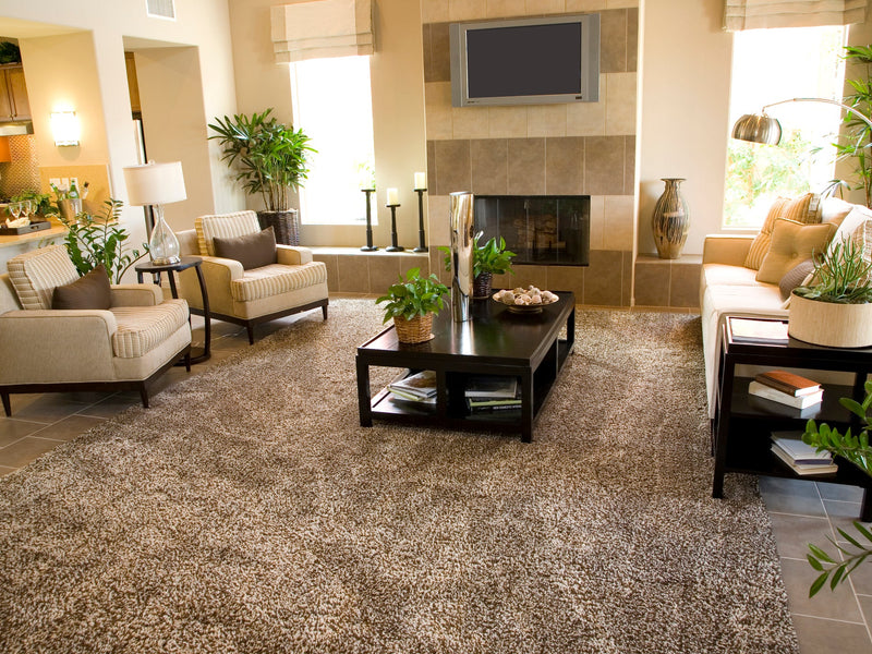 Spacious living room with a large 9x12 area rug anchoring a sofa set, adding warmth and elegance to the space