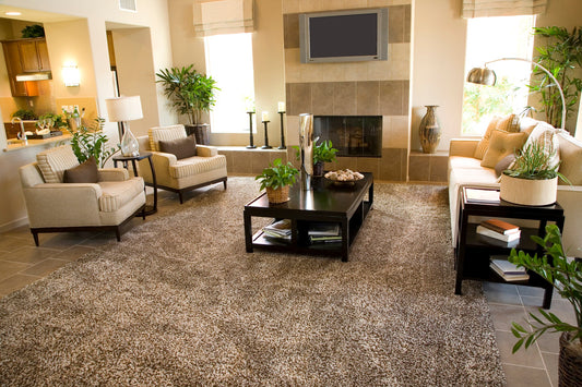 Spacious living room with a large 9x12 area rug anchoring a sofa set, adding warmth and elegance to the space