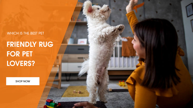 The Best Rugs for Pets: Everything You Need to Know