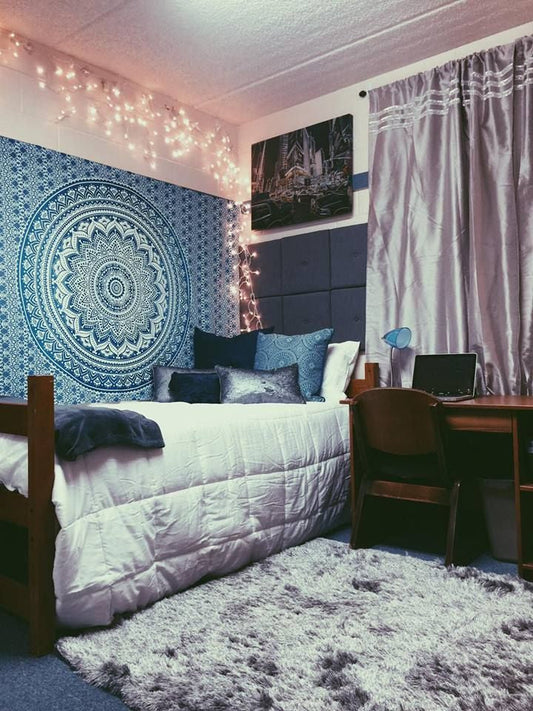 Modern home interior with a wool shag rug maintained for everyday living