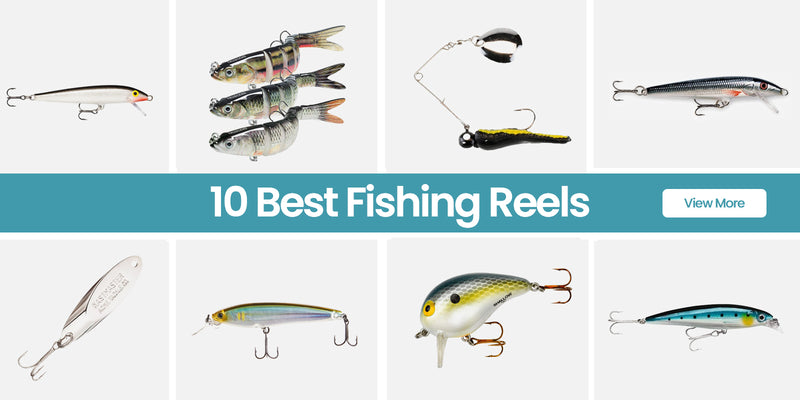 fishing reels