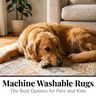 Machine Washable Rugs: The Best Options for Pets and Kids
