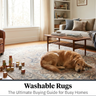 Washable Rugs: The Ultimate Buying Guide for Busy Homes