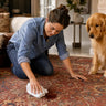How to Get Pet Stains Out of an Area Rug