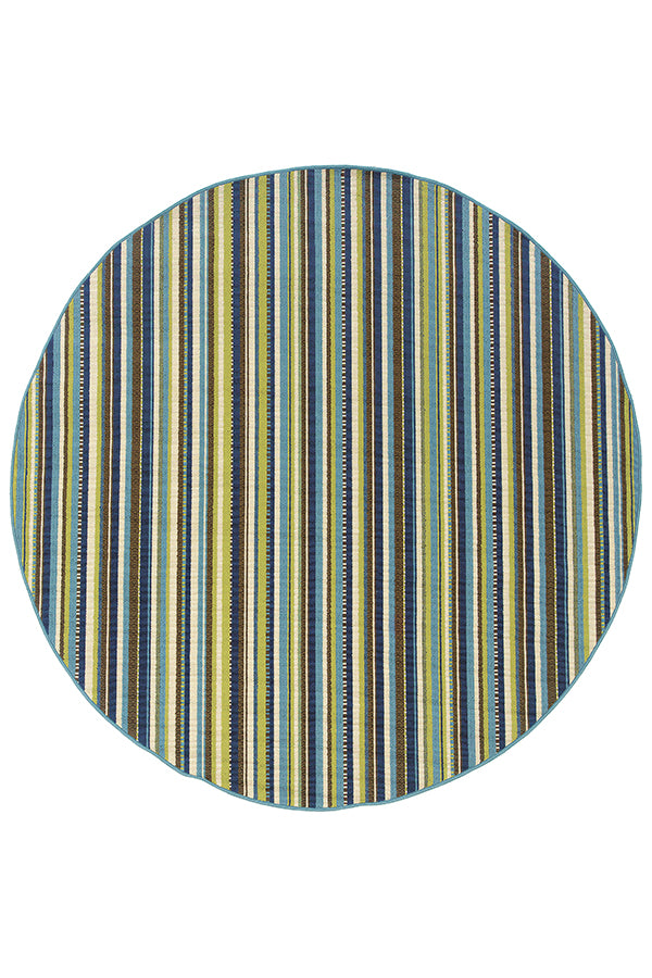 100% Polypropylene Vintage  Indoor/Outdoor Area Rug