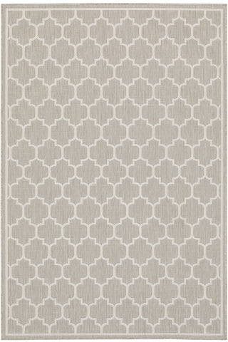 100% Polypropylene Vintage  Indoor/Outdoor Area Rug