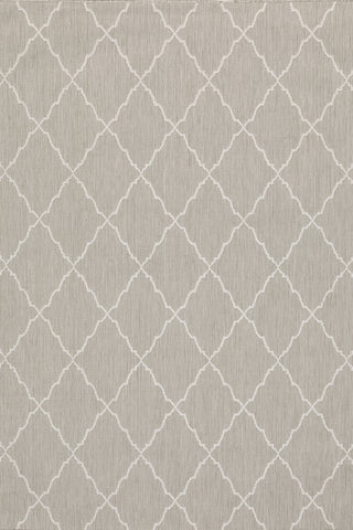 100% Polypropylene Vintage  Indoor/Outdoor Area Rug