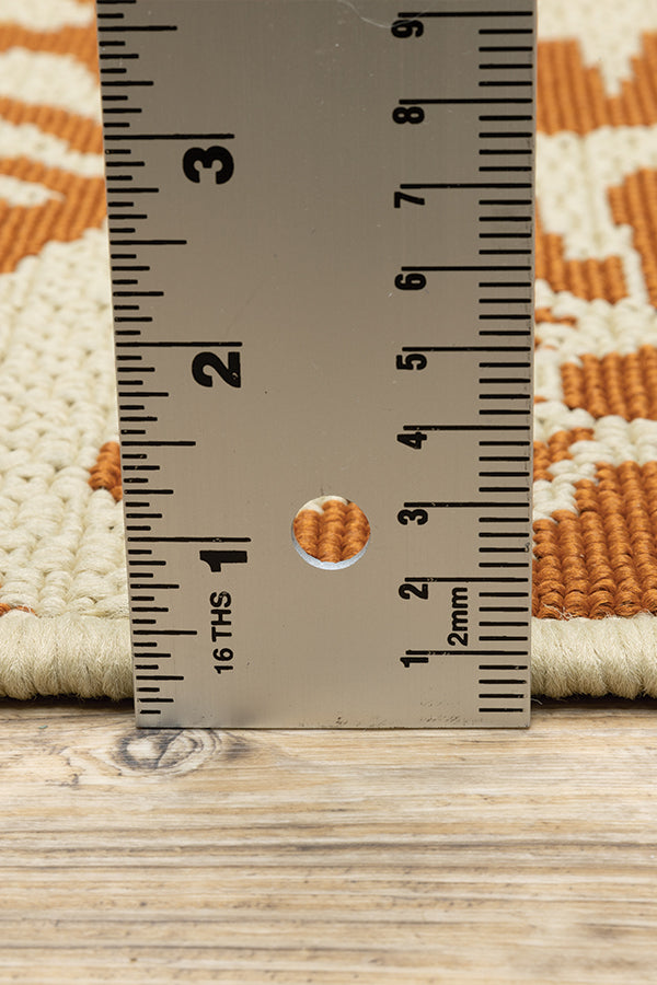 100% Polypropylene Vintage  Indoor/Outdoor Area Rug