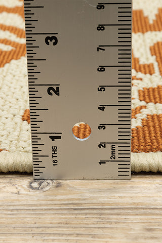 100% Polypropylene Vintage  Indoor/Outdoor Area Rug