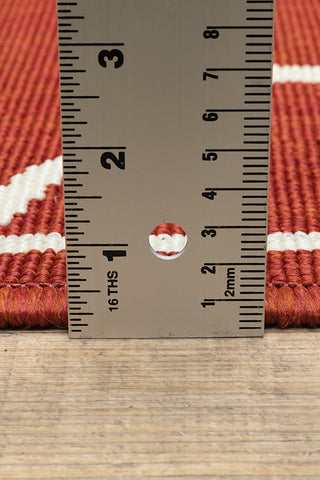 100% Polypropylene Vintage  Indoor/Outdoor Area Rug