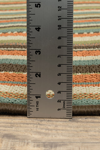 100% Polypropylene Vintage  Indoor/Outdoor Area Rug