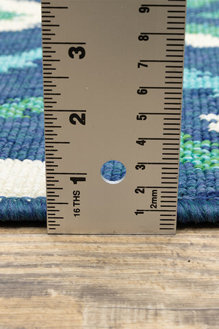100% Polypropylene Vintage  Indoor/Outdoor Area Rug