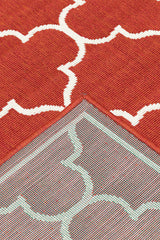 100% Polypropylene Vintage  Indoor/Outdoor Area Rug