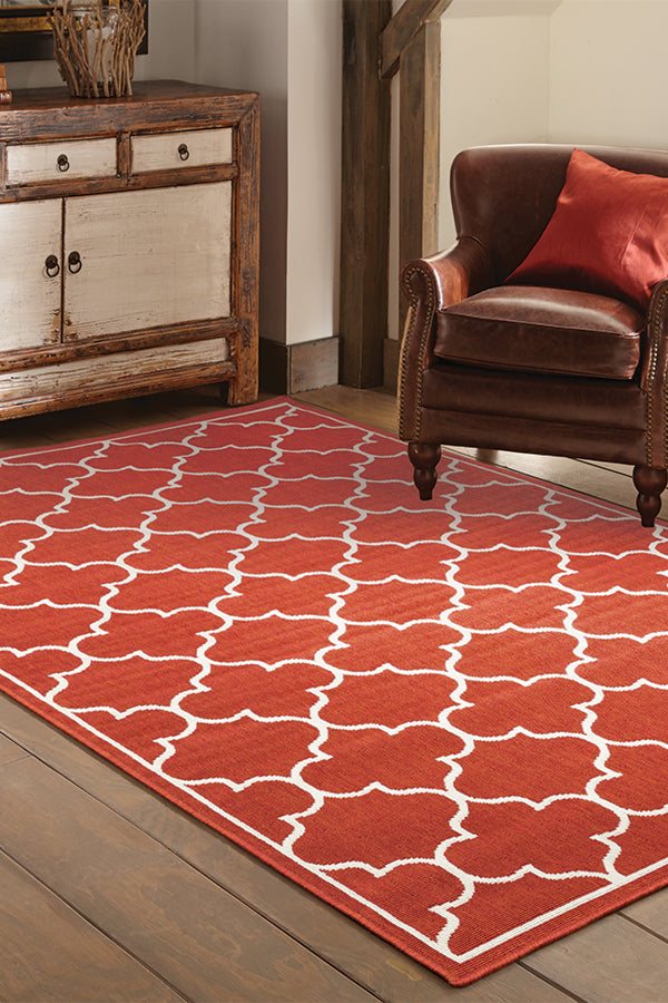 100% Polypropylene Vintage  Indoor/Outdoor Area Rug