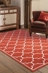 100% Polypropylene Vintage  Indoor/Outdoor Area Rug