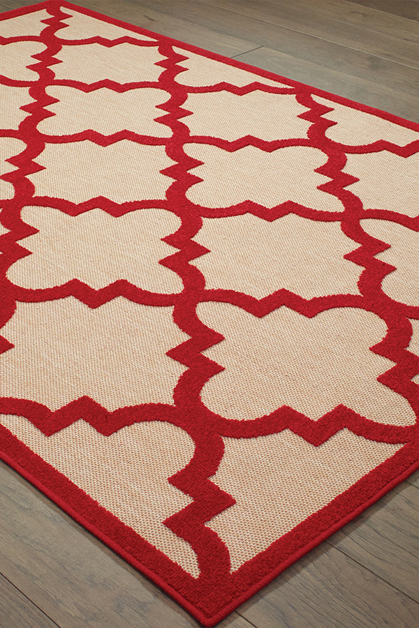 100% Polypropylene Vintage  Indoor/Outdoor Area Rug