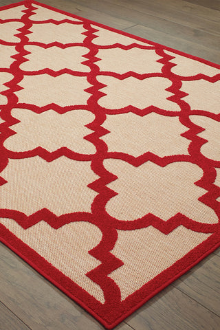 100% Polypropylene Vintage  Indoor/Outdoor Area Rug