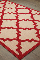 100% Polypropylene Vintage  Indoor/Outdoor Area Rug