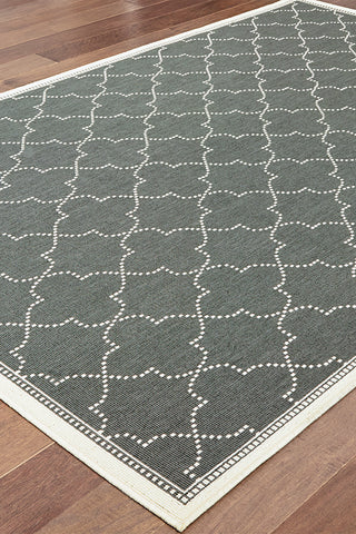 100% Polypropylene Vintage  Indoor/Outdoor Area Rug