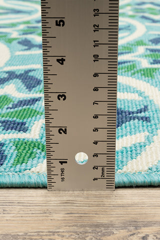 100% Polypropylene Vintage  Indoor/Outdoor Area Rug